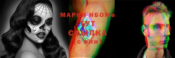 PSILOCYBIN Алзамай