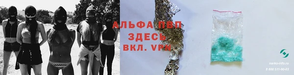 амф Алексин