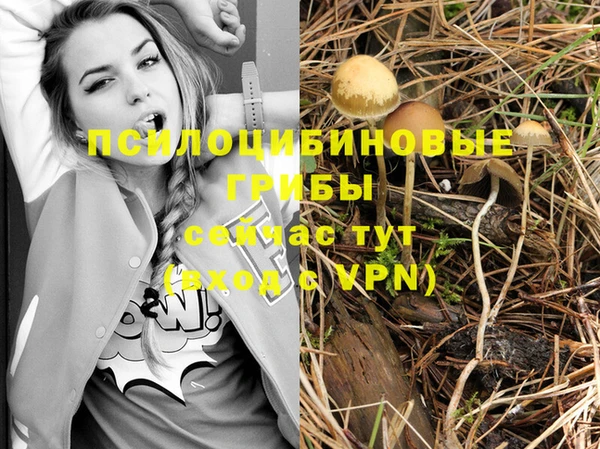 PSILOCYBIN Алзамай