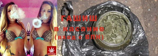PSILOCYBIN Алзамай