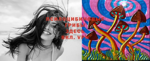 а пвп мука Алексеевка