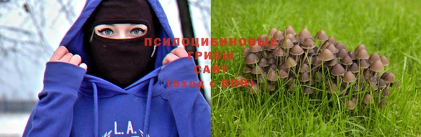 амф Алексин