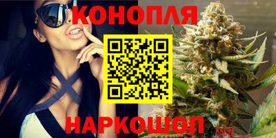 гидра Гусиноозёрск