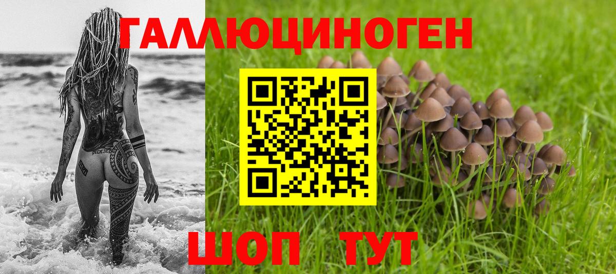 Псилоцибиновые грибы прущие грибы  Галлюциногенные грибы GOLDEN TEACHER  Мичуринск  Вход с VPN 