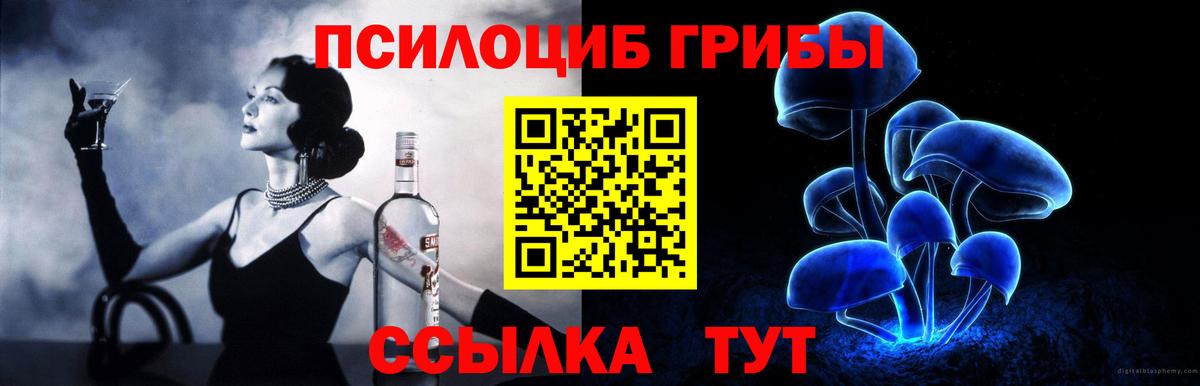 Галлюциногенные грибы Cubensis Мичуринск