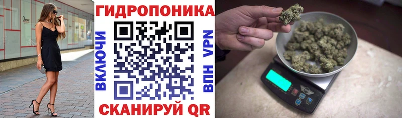 Конопля семена  сколько стоит  Мичуринск 